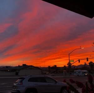 Meet your Posher, Cecilia